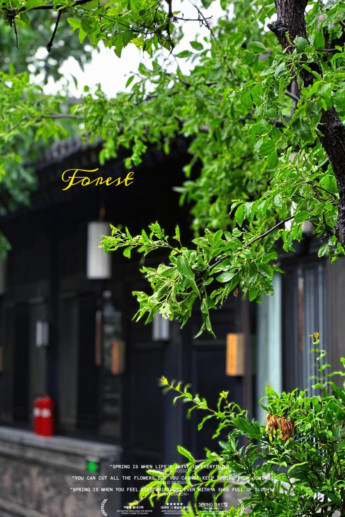 Elsewhere Hotel Inn North Street Branch Пинъяо Экстерьер фото